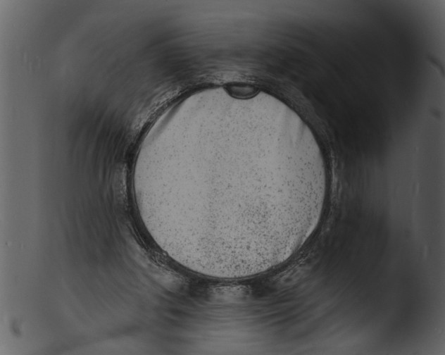 X0000103300202200809261321