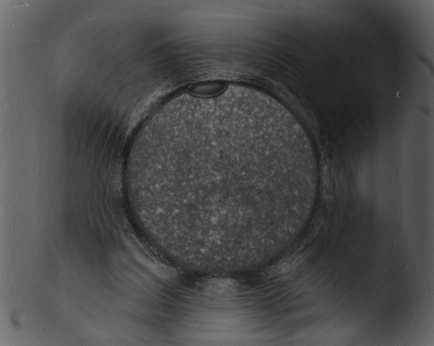 X0000103300203200809261321