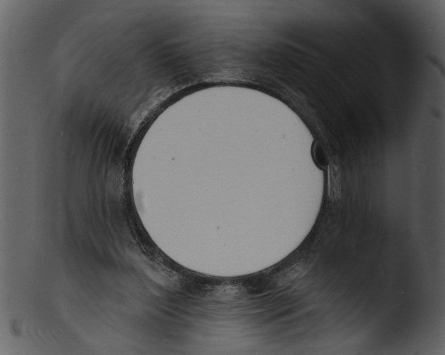 X0000103300204200809261321