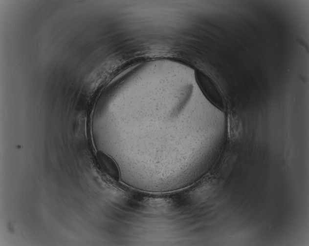 X0000103300205200809261321