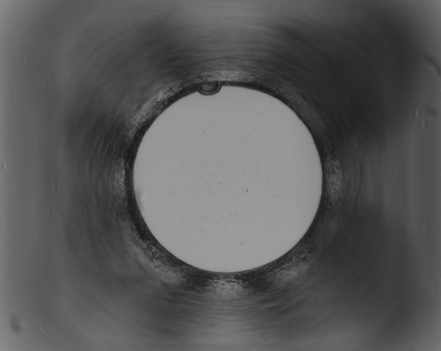 X0000103300207200809261321