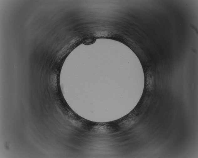 X0000103300211200809261321