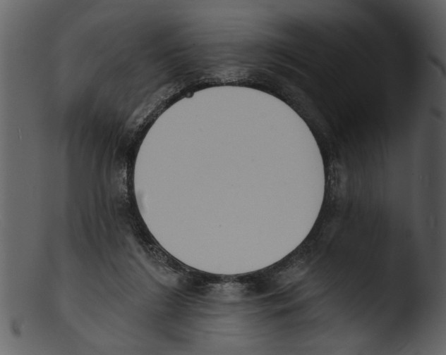 X0000103300212200809261321