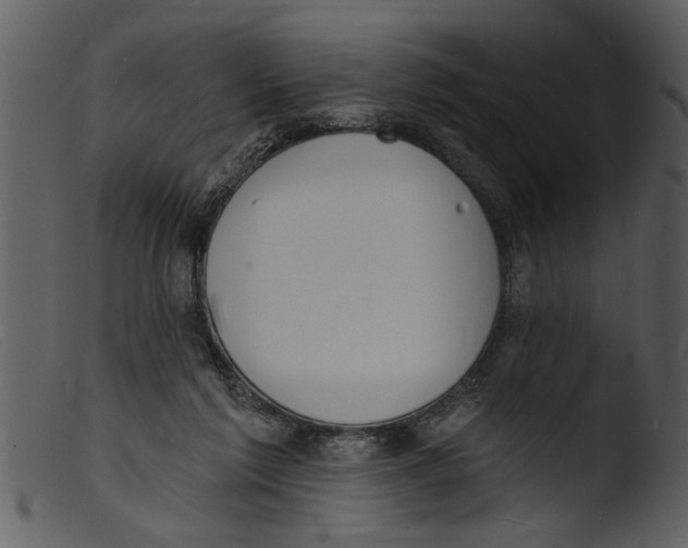 X0000103300213200809261321