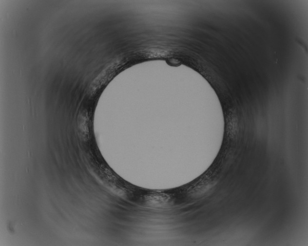 X0000103300215200809261321