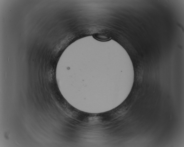 X0000103300216200809261321