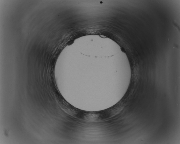 X0000103300217200809261321