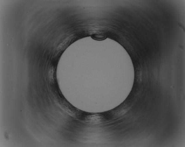 X0000103300219200809261321