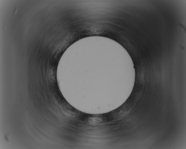 X0000103300220200809261321