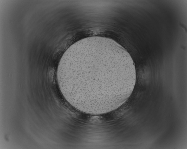 X0000103300222200809261321