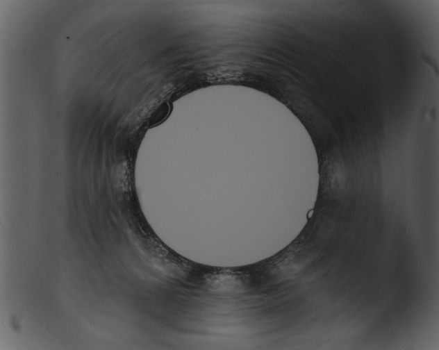 X0000103300224200809261321