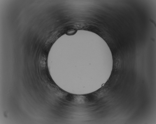X0000103300226200809261321