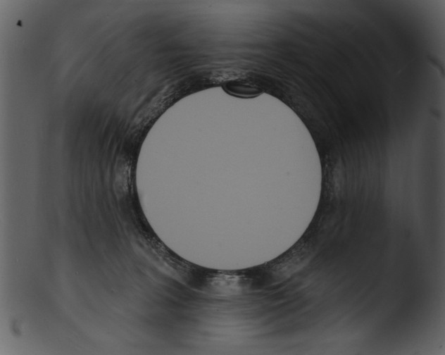 X0000103300227200809261321