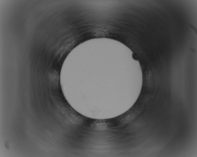X0000103300228200809261321