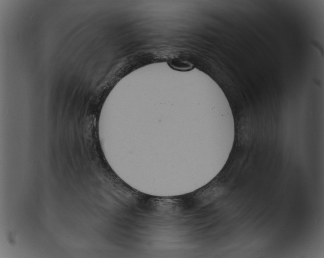 X0000103300229200809261321