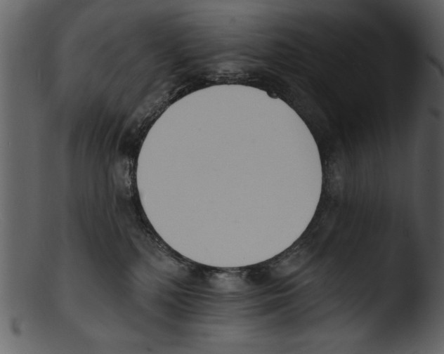 X0000103300232200809261321