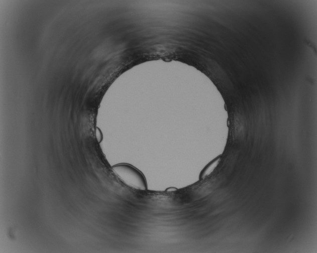X0000103300236200809261321