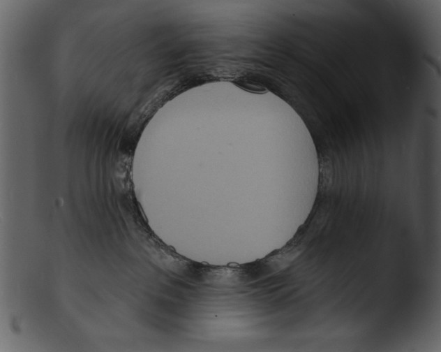 X0000103300237200809261321
