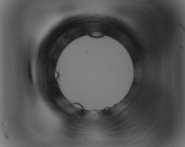 X0000103300239200809261321