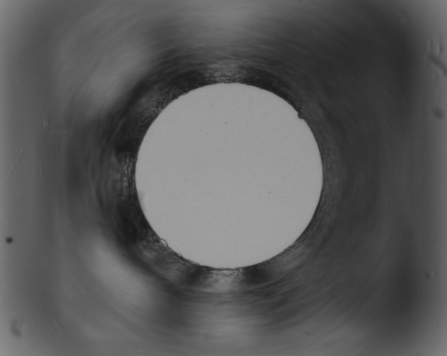 X0000103300240200809261321