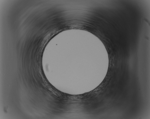 X0000103300241200809261320