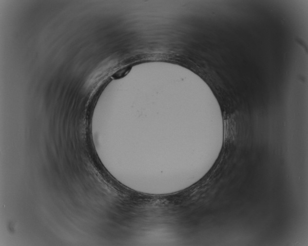 X0000103300243200809261320