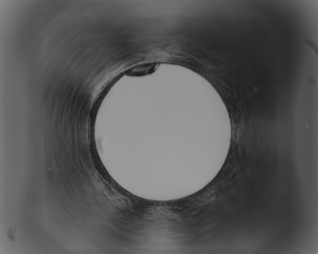 X0000103300244200809261320