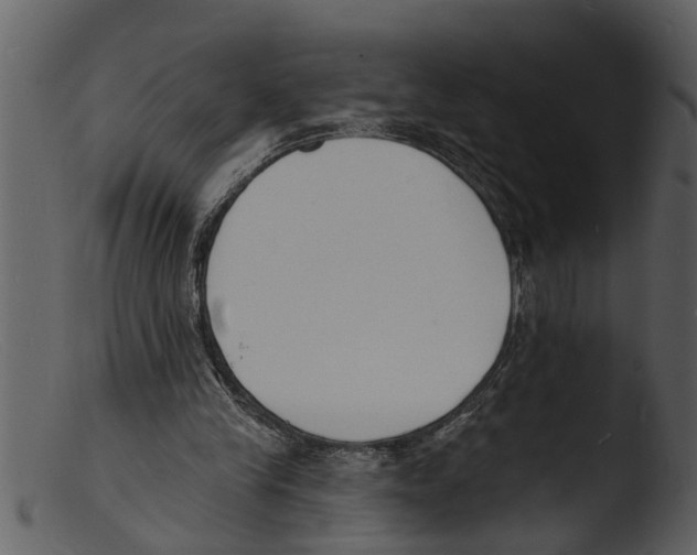 X0000103300245200809261320