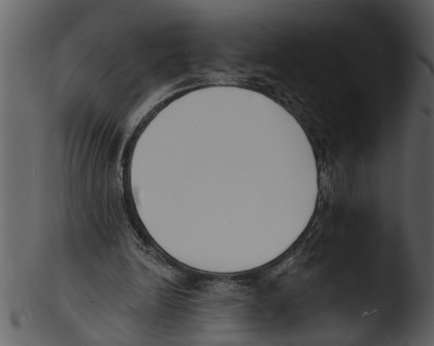X0000103300246200809261320