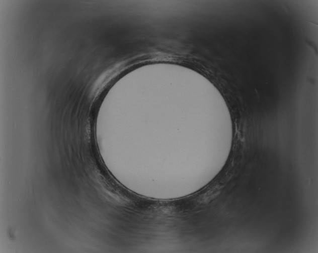 X0000103300247200809261320