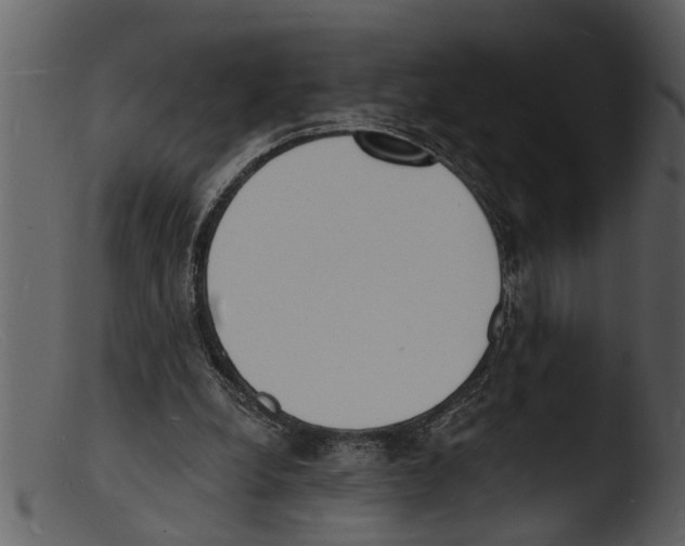 X0000103300248200809261320