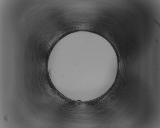 X0000103300249200809261320