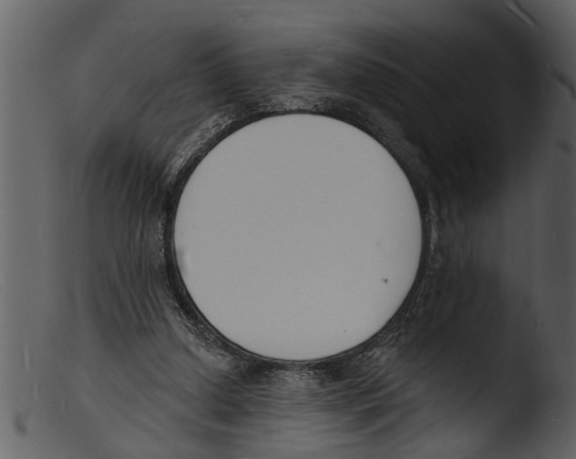 X0000103300250200809261320