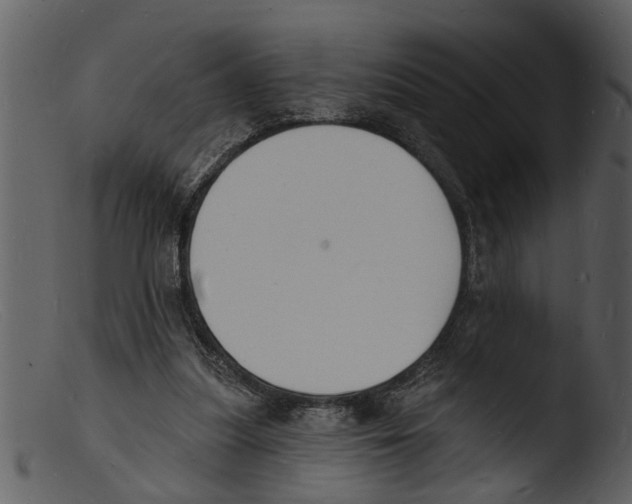 X0000103300251200809261320