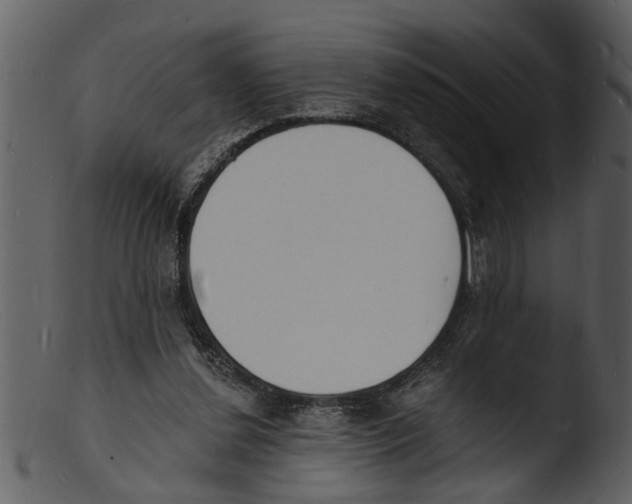 X0000103300252200809261320