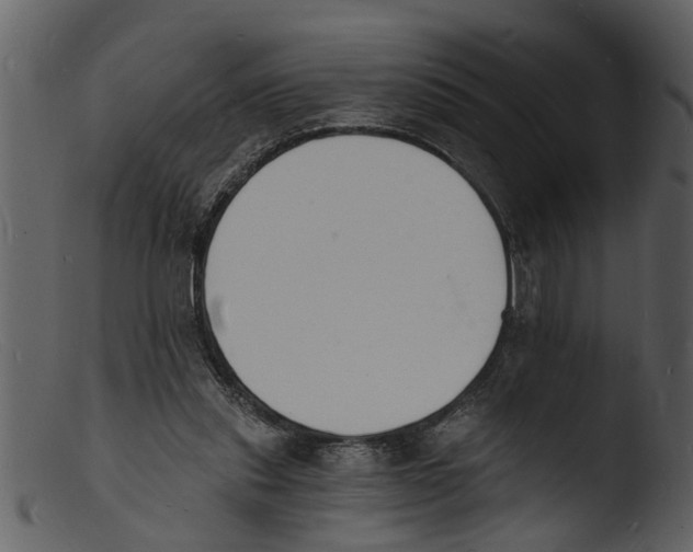 X0000103300253200809261320