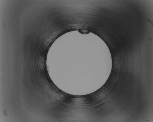 X0000103300255200809261320