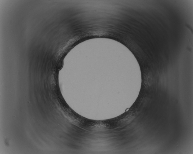 X0000103300256200809261320