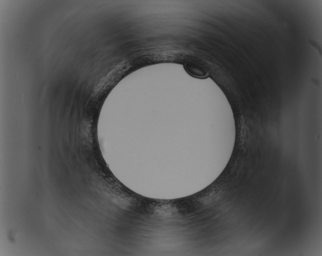 X0000103300258200809261320