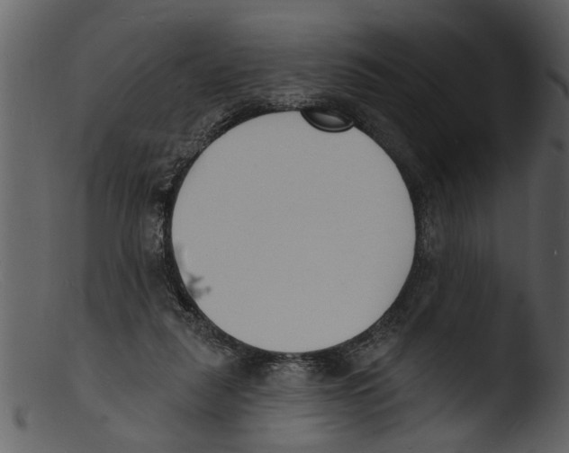 X0000103300259200809261320