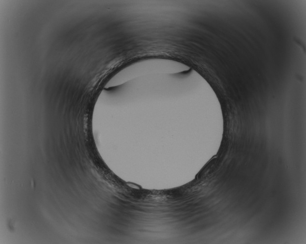 X0000103300260200809261320