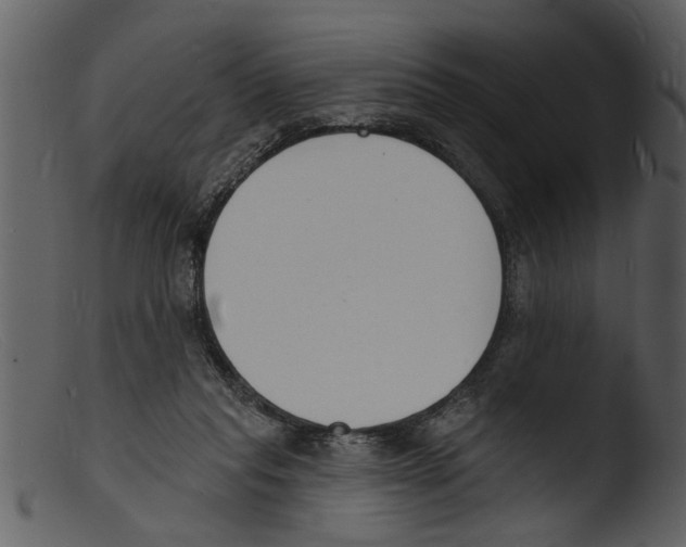 X0000103300261200809261320