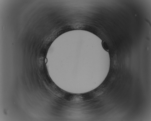 X0000103300263200809261320