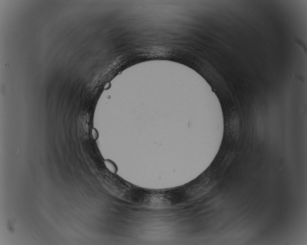 X0000103300264200809261320