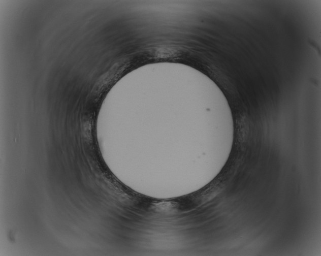 X0000103300269200809261320