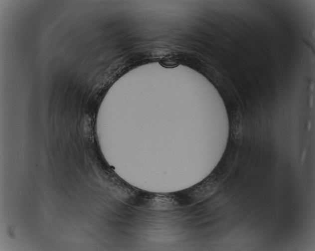 X0000103300270200809261320