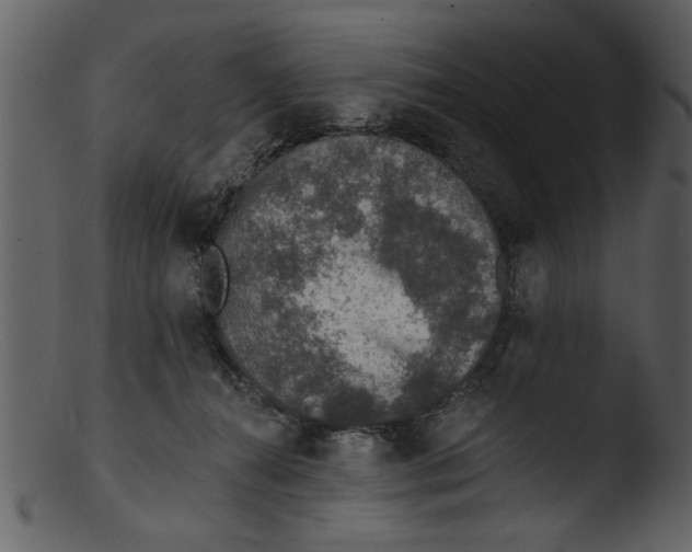 X0000103300272200809261320