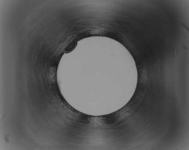 X0000103300273200809261320