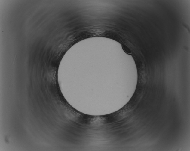 X0000103300274200809261320
