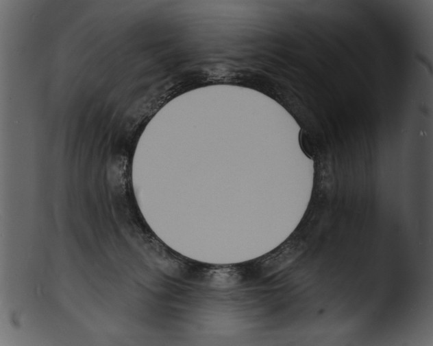 X0000103300275200809261321